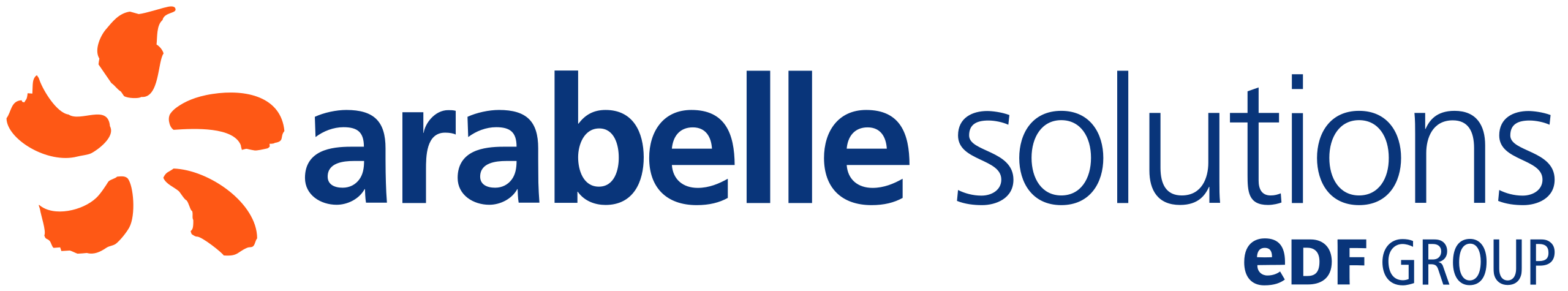 Arabelle Solutions - EDF Group