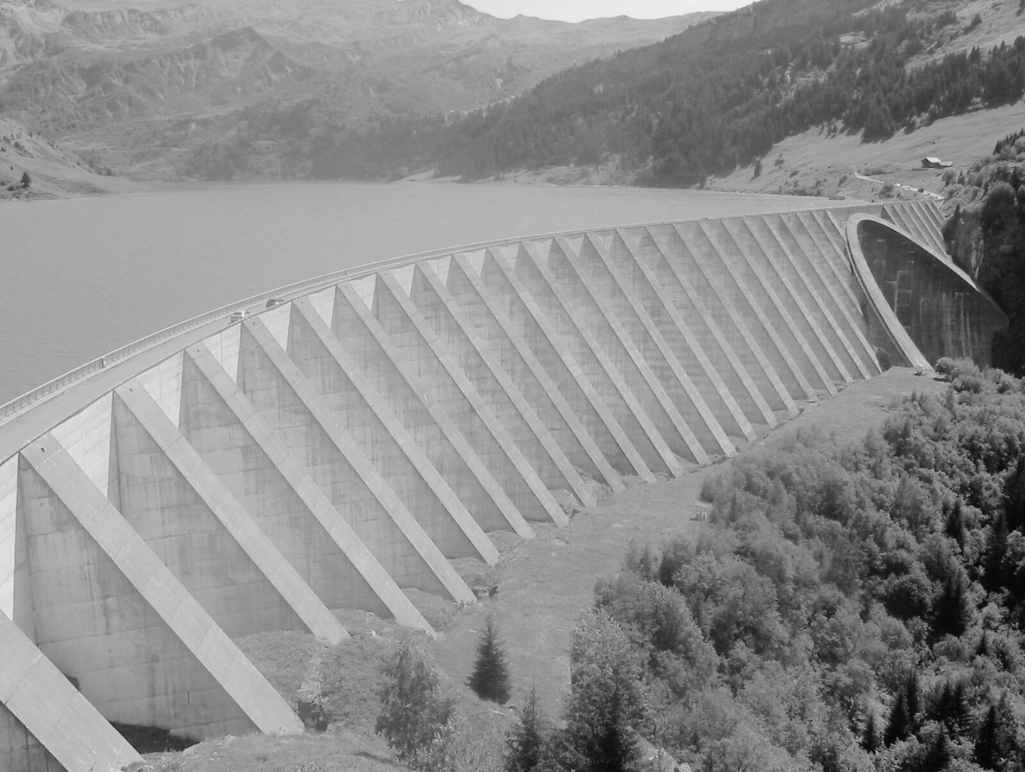 Photo libre de droit 1